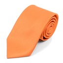 SY-BLS-3301-19-Orange-BoysSolidColorPolyTies-Retail$7.32