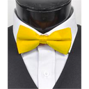 SY-BT-13038-Yellow-Men'sBowTies2.5'PolySatinBanded-Retail$5.82