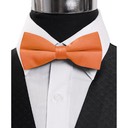 SY-BTC-17031-Rust-Men's2.5'PolySatinBandedClipOnBowTies-Retail$5.82