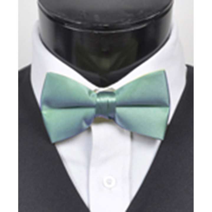 SY-BTC-17039-Sage-Men's2.5'PolySatinBandedClipOnBowTies-Retail$5.82